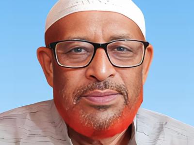 Ali Reza Bichu
